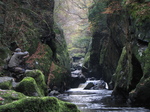 SX20895 Wouko at Conwy Falls in Fairy Glen near Betws-y-Coed, Snowdonia.jpg